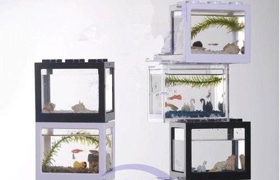 小魚缸圖片：小魚缸圖片展示