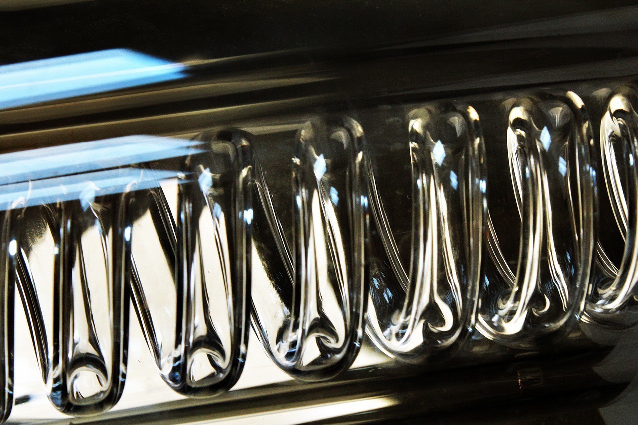 迎賓魚觀賞魚觀賞魚能混養(yǎng)嗎視頻和觀賞魚能混養(yǎng)嗎，觀賞魚可以混養(yǎng)嗎視頻 迎賓魚觀賞魚觀賞魚能混養(yǎng)嗎視頻和觀賞魚能混養(yǎng)嗎，觀賞魚可以混養(yǎng)嗎視頻 虎魚百科 第3張