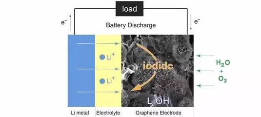 養虎魚難挑虎魚更難