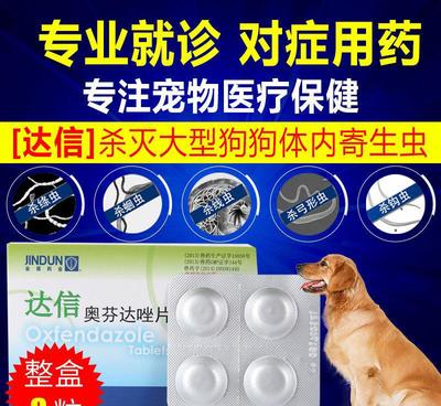大金魚會吃金魚苗嗎（金魚會吃熱帶魚苗嗎）