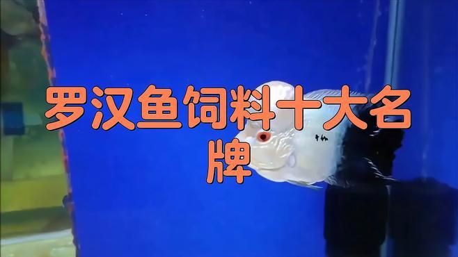 口碑最好的羅漢魚糧，羅漢魚公認(rèn)最好的飼料不知真假