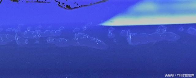 蘇州德勝住宅研究院有限公司（蘇州德勝住宅研究院有限公司怎么樣）德勝住宅研究院有限公司深度剖析，實力、成果與行業(yè)影響力