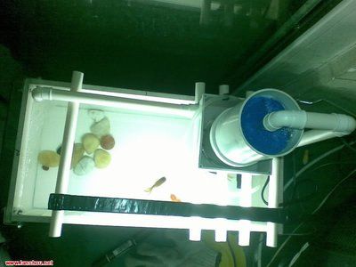 瓷磚制作魚缸過濾：如何制作魚缸過濾系統