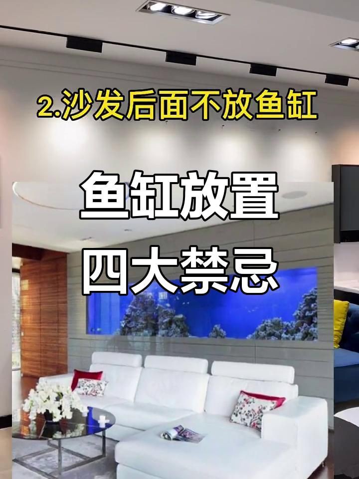 魚缸擺放時需要注意哪些科學細節？，《魚缸擺放的科學細節》