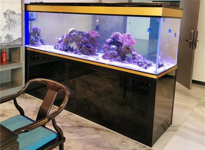 定做海水魚缸：大型海水魚缸定做