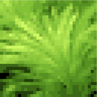 銀龍魚(yú)好養(yǎng)活嗎?(銀龍魚(yú)好養(yǎng)嗎需要什么設(shè)備)