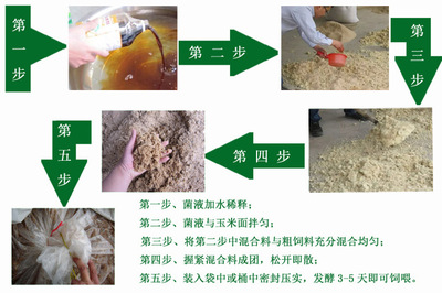 印尼小紅龍魚價格走勢如何分析（印尼紅龍魚40公分低價轉讓 3980元）