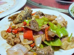 疊彩龍魚店，疊彩龍魚店是否存在