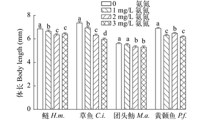 虎魚排隊倒立是怎么回事