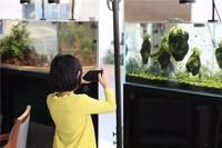 防城港水族店，開(kāi)一家水族店怎么樣