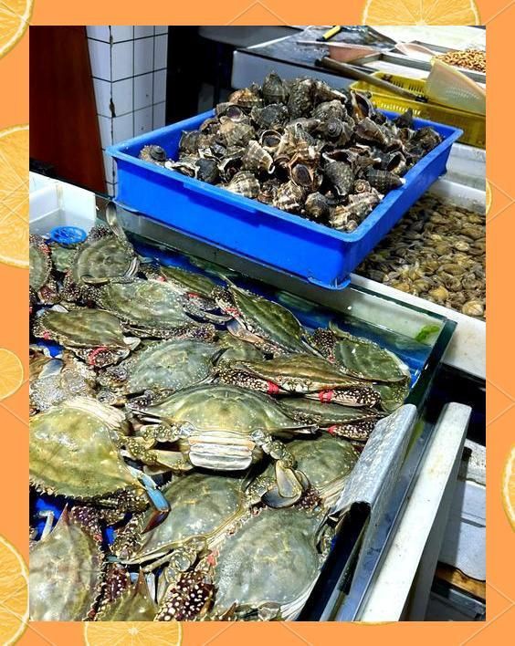 威海水族批發(fā)市場，關(guān)于威海水產(chǎn)品批發(fā)市場的一段話