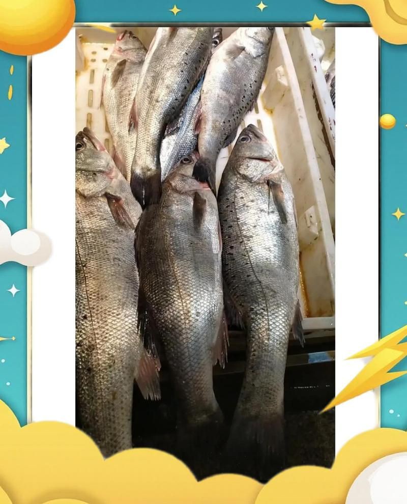 威海水族批發(fā)市場，關(guān)于威海水產(chǎn)品批發(fā)市場的一段話