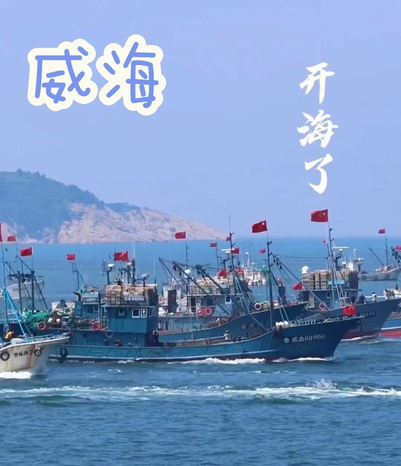威海水族批發(fā)市場，關(guān)于威海水產(chǎn)品批發(fā)市場的一段話