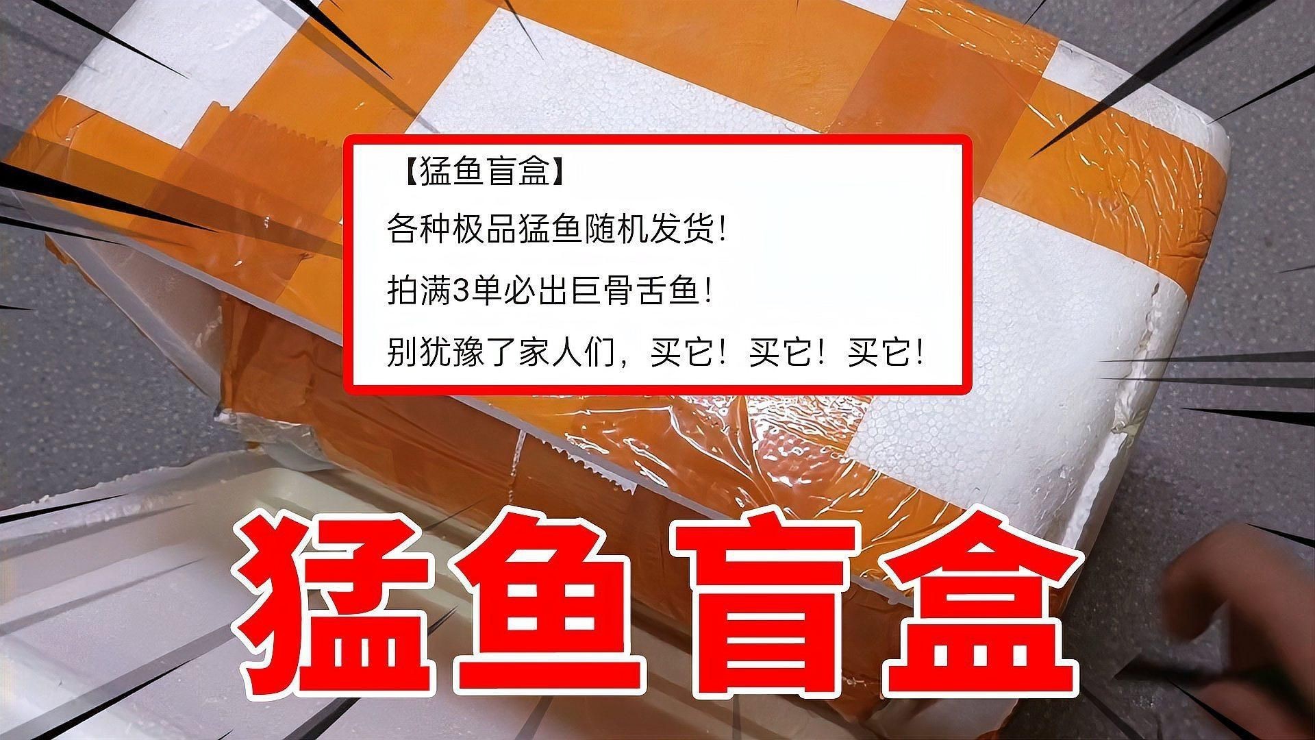 猛魚盲盒巨骨舌魚，嗶哩嗶哩網(wǎng)購買了猛魚盲盒，老板說能開出巨骨舌魚