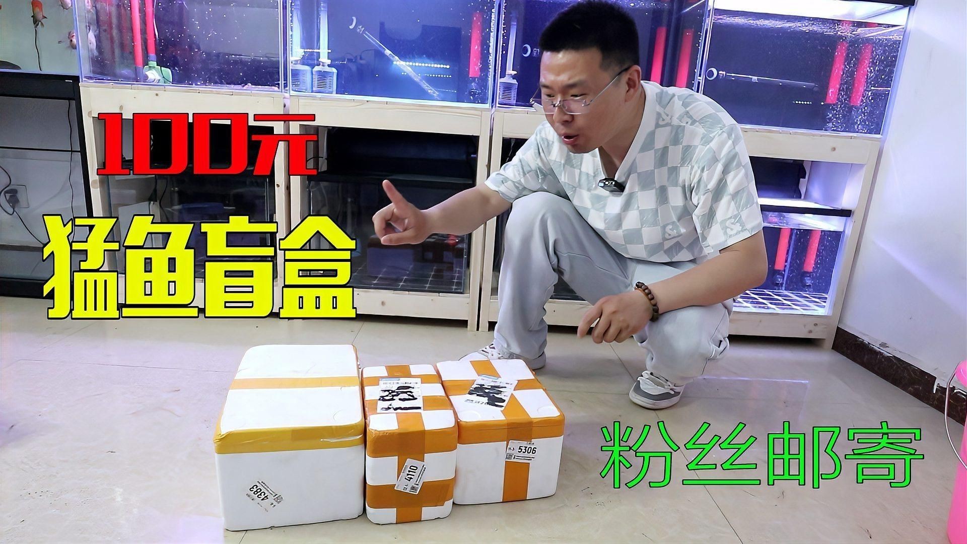 猛魚盲盒巨骨舌魚，嗶哩嗶哩網(wǎng)購買了猛魚盲盒，老板說能開出巨骨舌魚