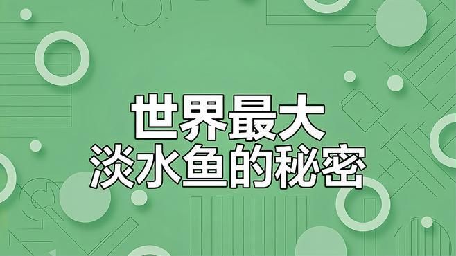猛魚盲盒巨骨舌魚，嗶哩嗶哩網(wǎng)購買了猛魚盲盒，老板說能開出巨骨舌魚