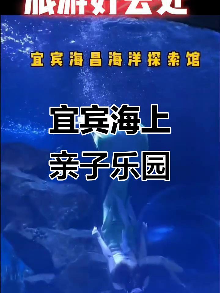 宜賓水族店，宜賓哪家水族店口碑最好