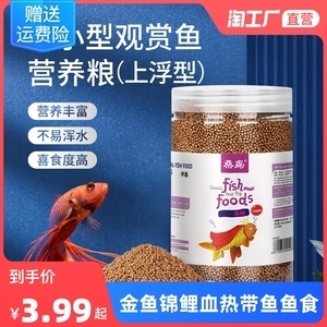 魚缸漏水怎么辦？：如何處理魚缸漏水