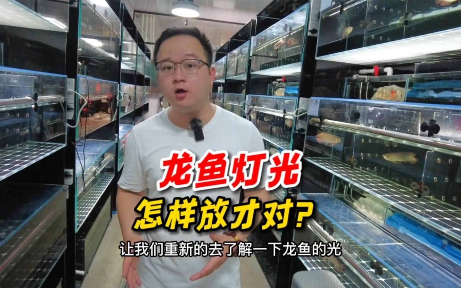 有沒有龍魚燈擺放的視頻教程？【關于龍魚燈擺放技巧的要點總結】