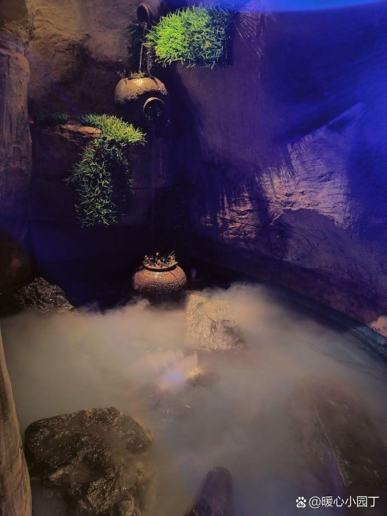 尋烏龍魚店，尋烏魚店的價格范圍有哪些