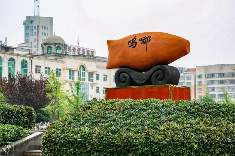 嘉魚龍魚店【嘉魚縣有哪些觀賞魚店】