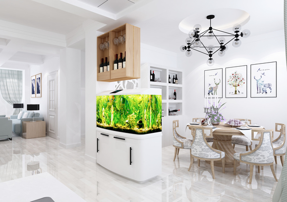 石家莊市橋東區鑫友水族館（石家莊市橋東區鑫友水族館電話）