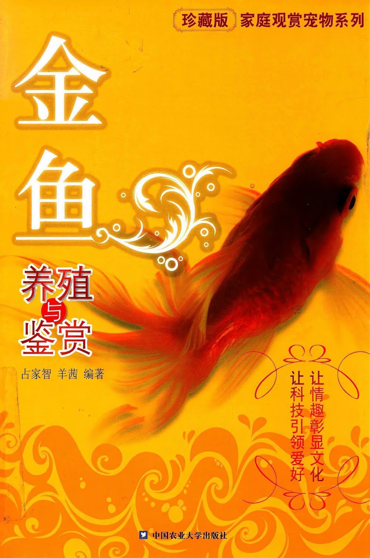 養金龍魚幾條最好旺財，家里養幾條金龍魚可以旺財嗎