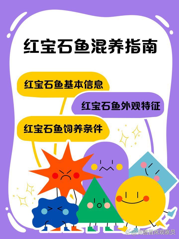 紅寶石魚混養(yǎng)最佳搭配【紅寶石魚可以和什么魚混養(yǎng)】