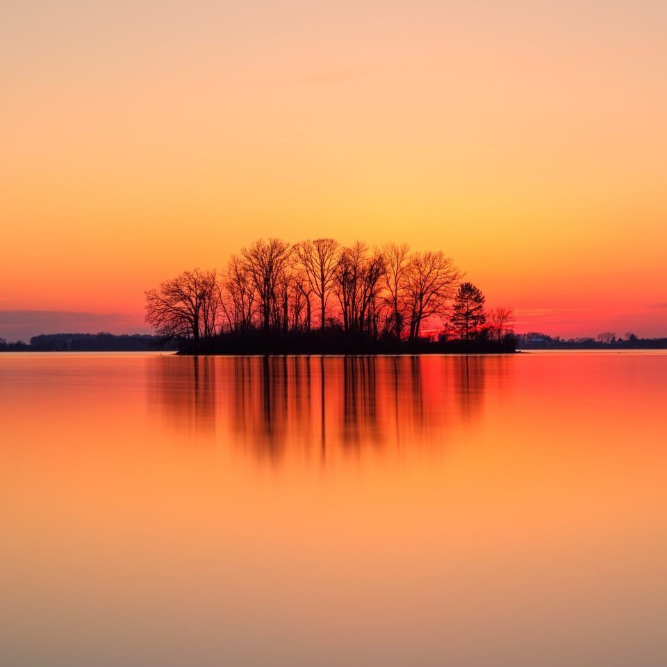 紅寶石魚混養(yǎng)最佳搭配【紅寶石魚可以和什么魚混養(yǎng)】