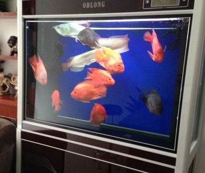 oblong魚缸安裝說明書：關于魚缸安裝的注意事項