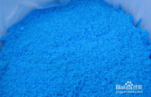 普通銀龍魚多少錢一條(銀龍魚一條多少錢市場價?)