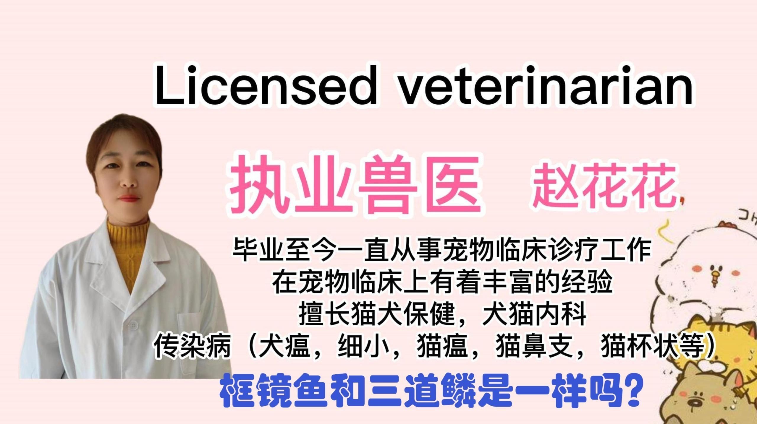框鏡魚是什么魚【只有一排魚鱗的魚叫什么魚】