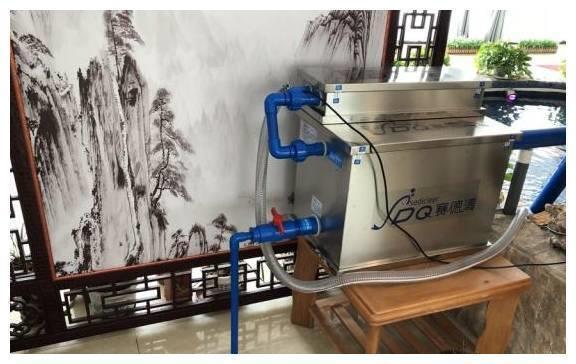 如何喂銀龍魚視頻(如何喂銀龍魚視頻講解)