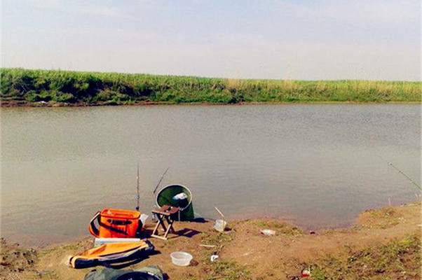 1.3米的魚缸可以養多少魚:1.3米的魚缸可以養多少魚,