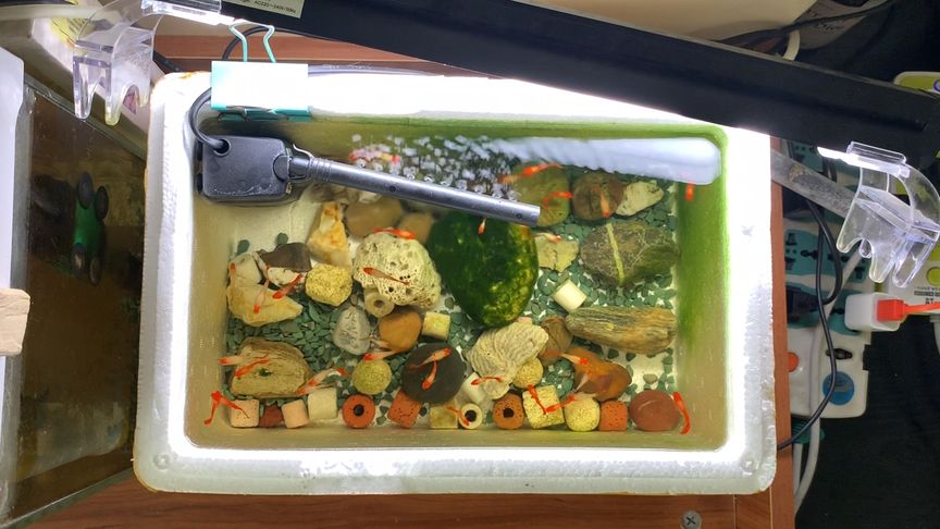 清洗魚缸的簡單方法圖解：如何清洗魚缸？ 清洗魚缸的簡單方法圖解：如何清洗魚缸？ 魚缸百科 第1張