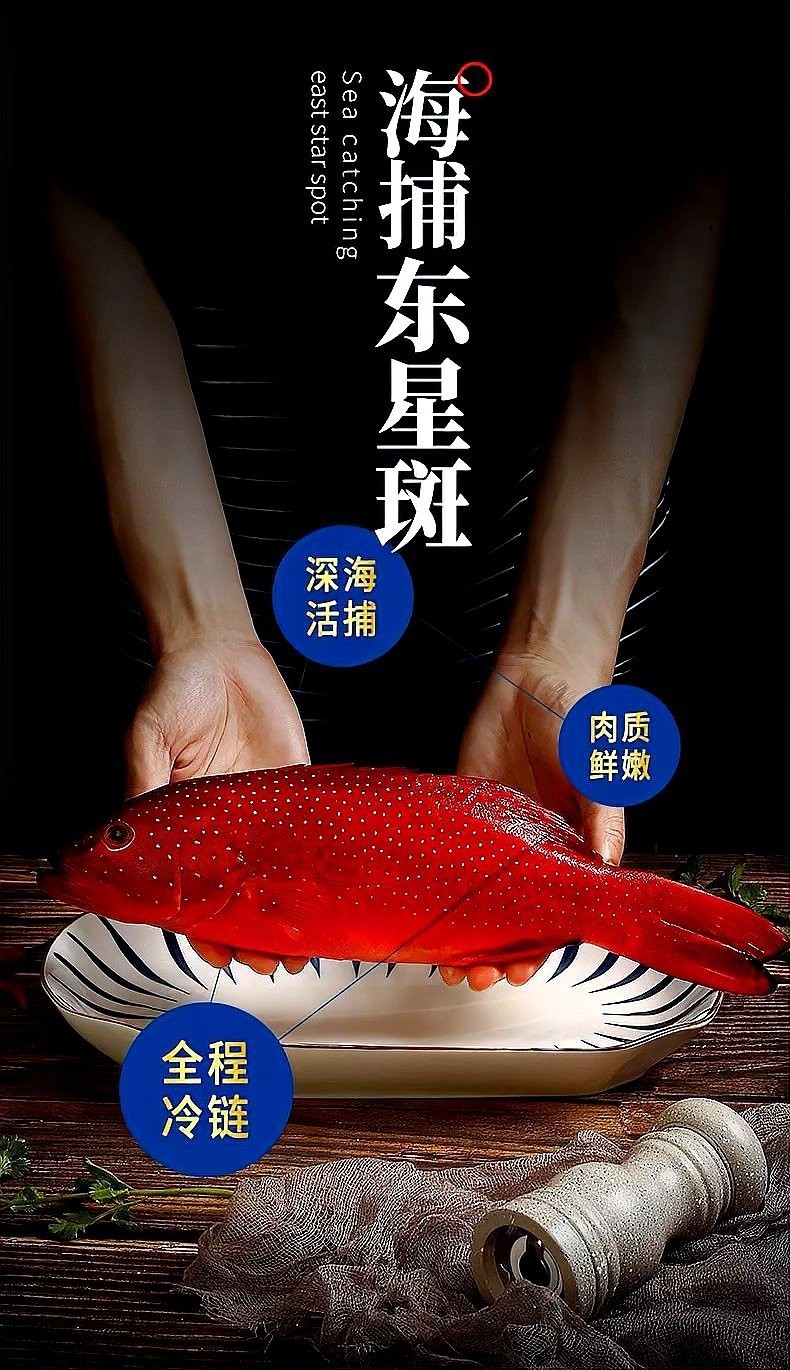 東星斑魚，東星斑為什么被稱為“東星斑”？