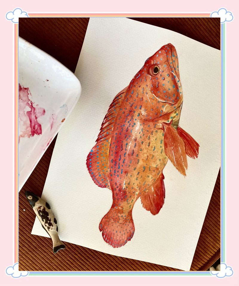 東星斑魚，東星斑為什么被稱為“東星斑”？
