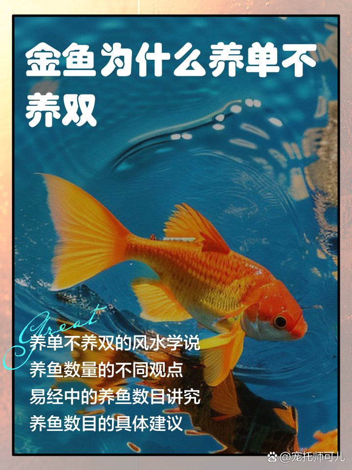 養二條魚不吉利的原因，《養二條魚不吉利的原因》 養二條魚不吉利的原因，《養二條魚不吉利的原因》 龍魚論壇 第5張