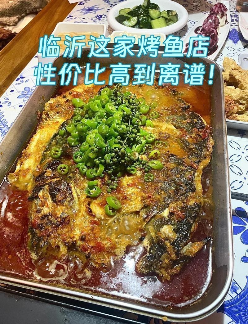 臨沂河東龍魚店，臨沂河東區有哪些知名的龍魚店