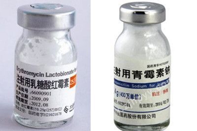 悠然居以魚會友新開的小虎缸