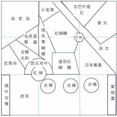 黃金珍珠虎壽命（黃金珍珠虎能長多大）