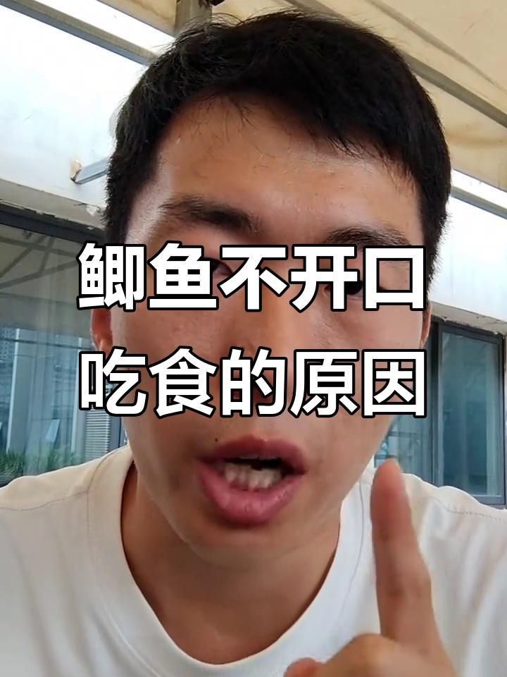 魚突然不吃食的6大原因，魚突然不吃食是養殖過程中常見的6大原因及詳細分析