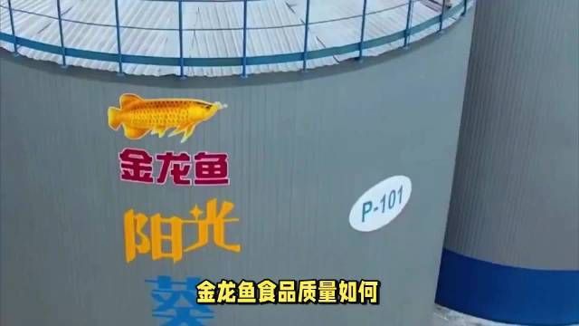 金龍魚的品牌理念，金龍魚食品質量如何揭秘品牌背后的質量保障秘密