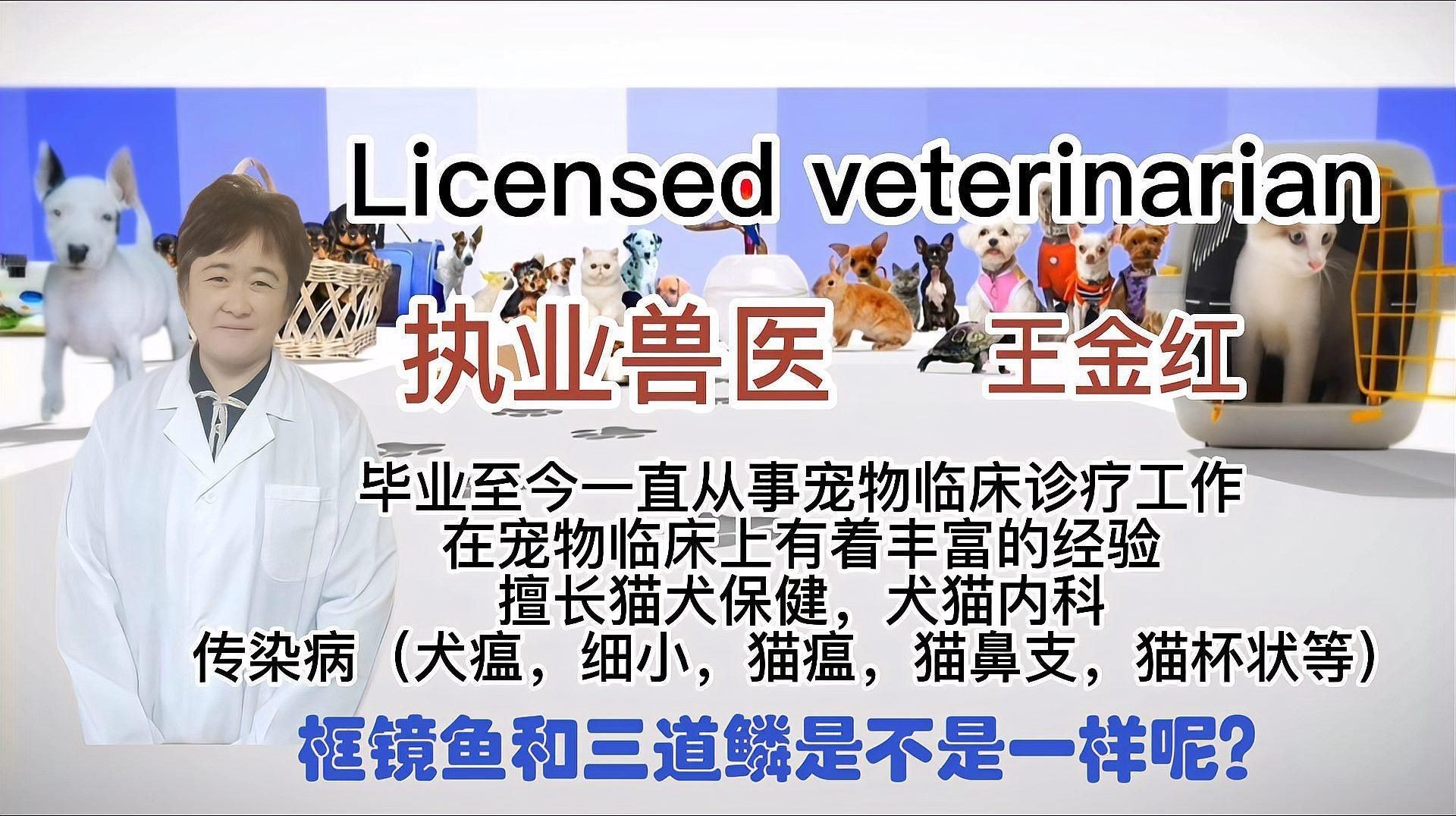 框鏡和三道鱗是一種魚嗎，框鏡魚和三道鱗一樣嗎