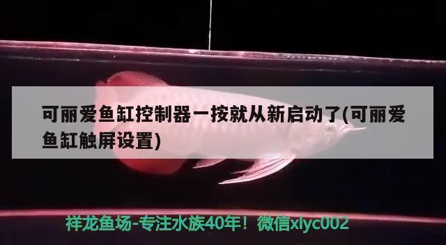 可麗愛魚缸使用年限：可麗愛魚缸抗老化技術解析