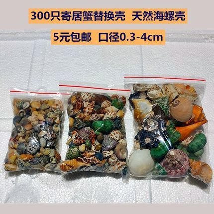 調節魚缸水的ph值和硬度是非常重要的養魚技巧：水質監測技術的應用