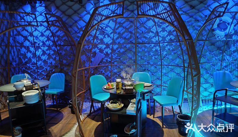 華縣水族店，華縣有哪些水族店