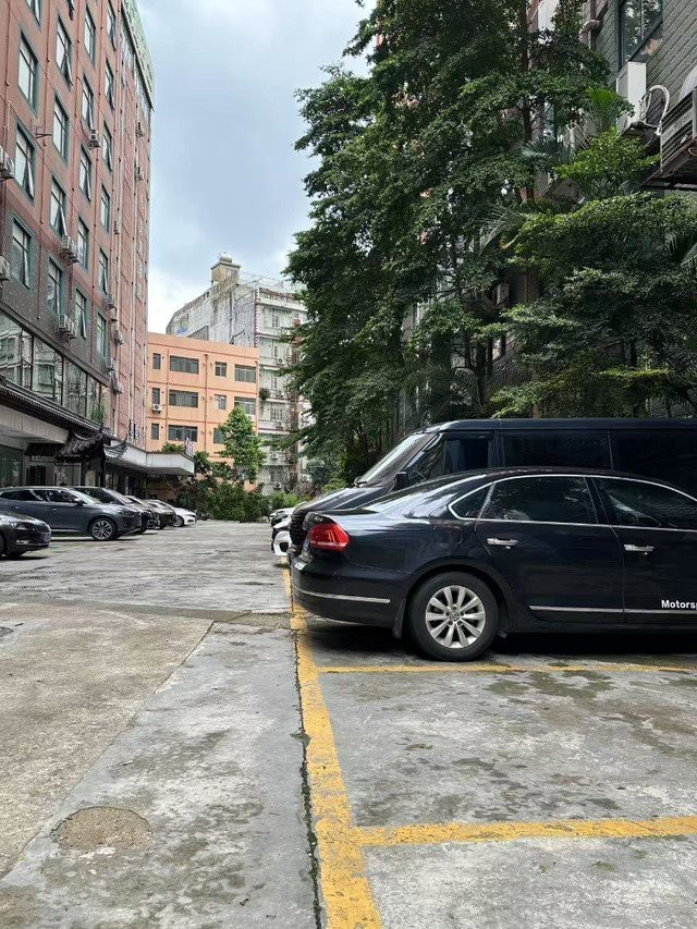 廣西龍魚店，如何判斷廣西的龍魚店的專業性