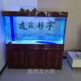 海拉爾購買魚缸需要注意的幾點：如何選擇合適的魚缸