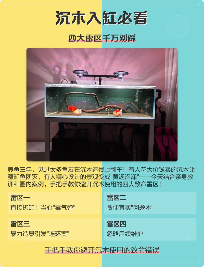 什么魚不能放沉木，沉木的魚不能不當使用